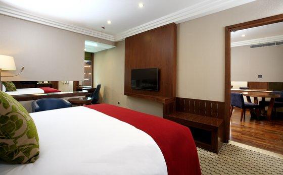 Radisson Blu And Convention Center, Minhal Hotel 4*